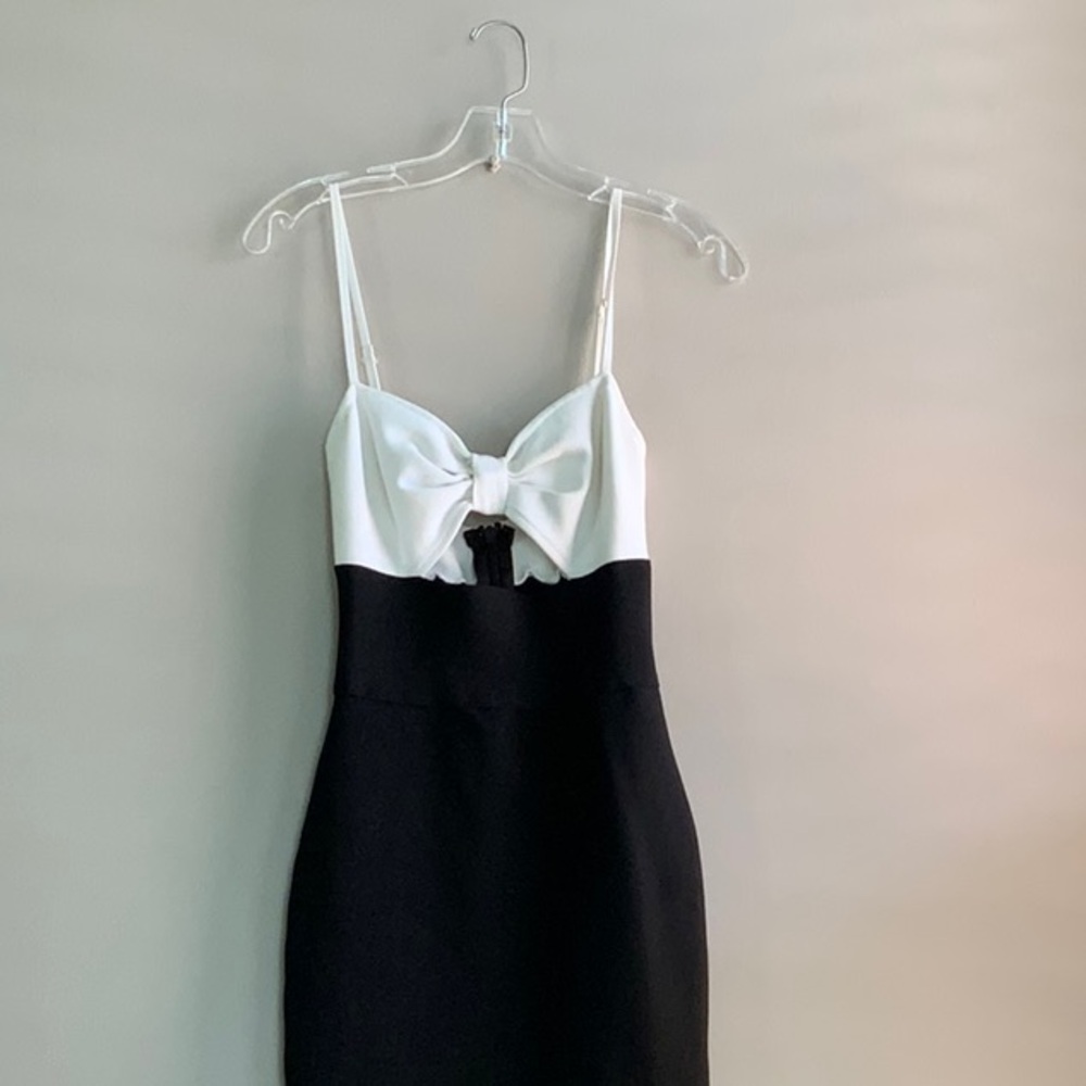 B/W Body dress